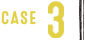 case3