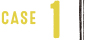 case1