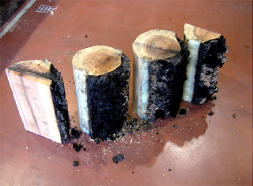 tudy_loghouse2_img_02