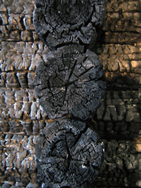 tudy_loghouse2_img_02