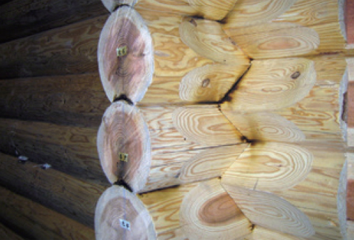 study_loghouse2_img_05